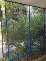 Nos prestations sur le secteur de Aix-en-Provence 13